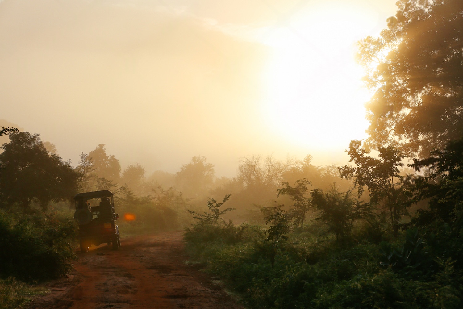 Private Udawalawe Morning Jeep Safari